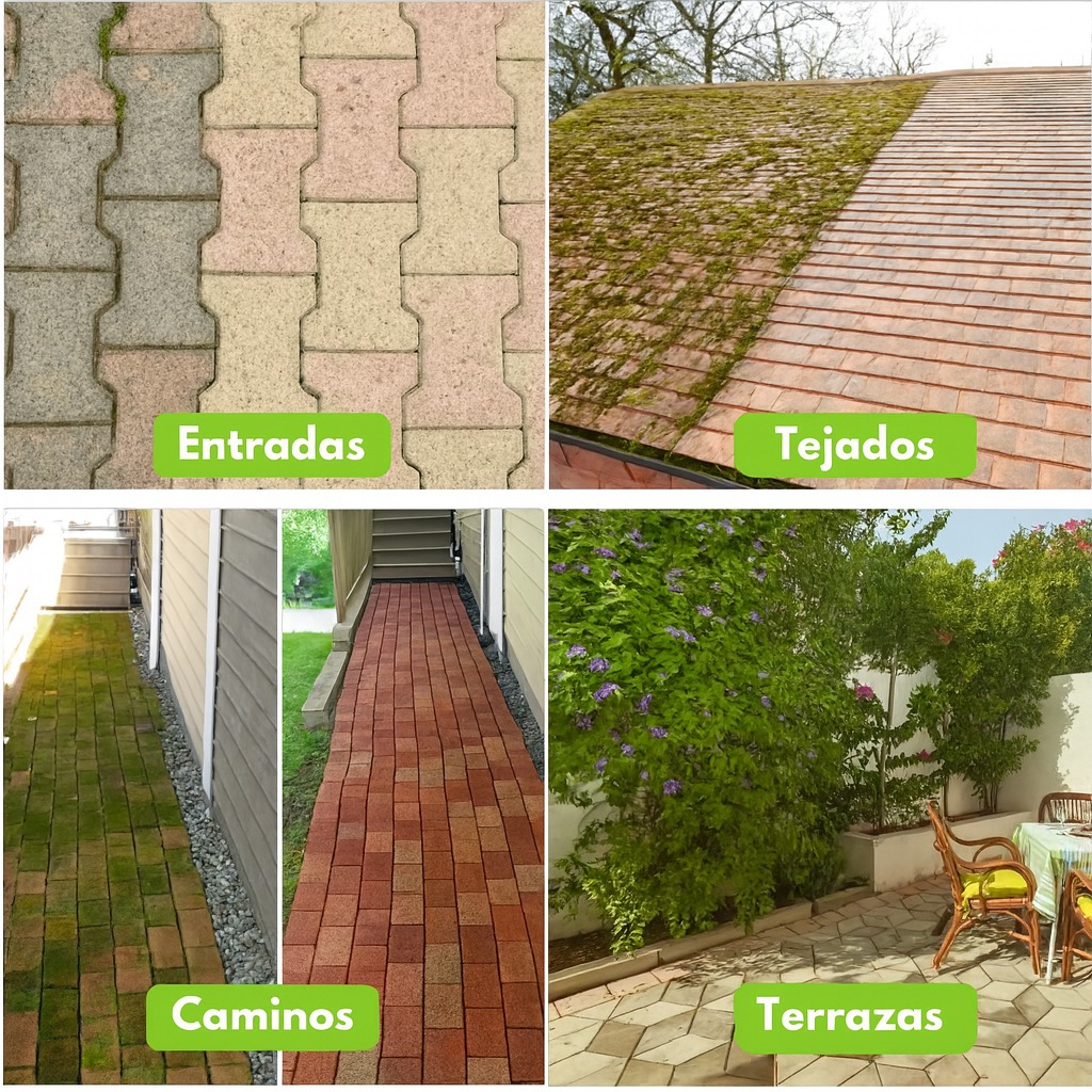 Contextos de uso en entrada, tejado, sendero y terraza